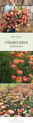 Pin On Grow Floret