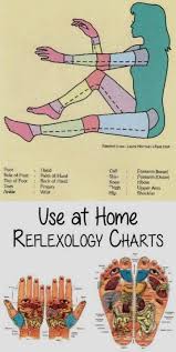 Massage In Jaipur By Female At Home Reflexology Chart