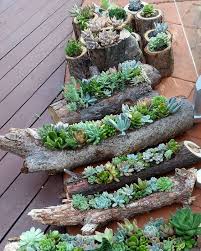 No watering or irrigation is needed, the rainfall. 30 Succulent Garden Ideas Indoor And Outdoor For Garden Inspiration