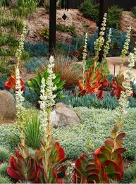 Debora Jardins Sans Secret Gardens Have No More Secrets In 2020 Drought Tolerant Garden Xeriscape Succulents Garden