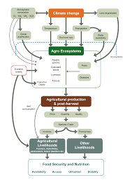 Stress, hypothermia, acute respiratory infections. Http Www Fao Org 3 I5188e I5188e Pdf