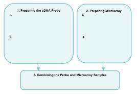 Complete The Flowchart To Show The Steps Required To Analyze