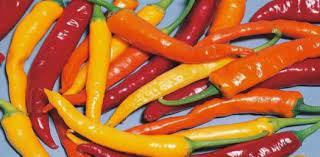 Well, what do you know? Chili Benefits And Side Effects Trivia Facts Quiz Proprofs Quiz
