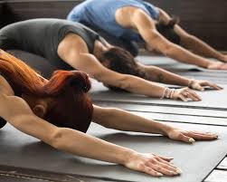 Check spelling or type a new query. Yoga Cycling Group Fitness Classes In Albuquerque Nm 87109 Albuquerque