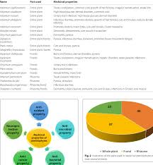 Image result for Menisorus pauciflorus