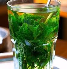 The Glace A La Menthe Recette The Glace A La Menthe Recette The Glace The Glace