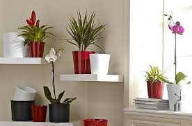 Para esta tarea las plantas son grandes aliadas, no solo son realmente bellas y decorativas, sino puedes adaptarlas a cualquier tipo de decoración y a cualquier estancia de nuestro hogar, ya sea en. Fotos De Decoracion De Salas Con Plantas Consejos Para La Decoracion De Salas Modernas