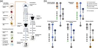 Biology pogil key for photosynthesis. Following Coffee Production From Cherries To Cup Microbiological And Metabolomic Analysis Of Wet Processing Of Coffea Arabica Applied And Environmental Microbiology