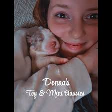 Donna's Toy & Mini Aussies (@donnasminiaussies) • Facebook