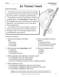 Copy Of Adaptations Lessons Tes Teach In 2020 Animal Adaptations Science Worksheets Reading Comprehension Lessons