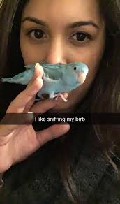 What are some common smell based reactions and allergies, and how do people  react to them?