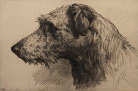 3486 Jpg 3858 2552 Canine Art Dog Art Animal Sketches