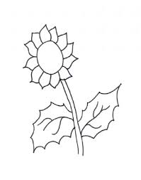 Malvorlagen Zum Ausmalen Ausmalbilder Sonnenblume Gratis 2