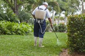 When spraying, do not come into contact. Broadleaf Weed Control The Organic Way