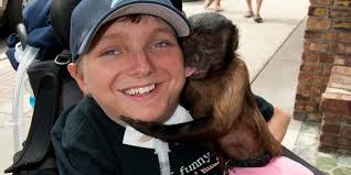 Auto crash survivors, advocates concerned over insurance law change