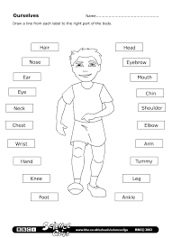 Outline Of The Human Body For Kids Teaching English Kids English Teaching