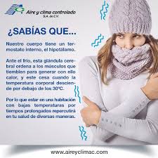 Por Que Tiembla Nuestro Cuerpo Al Frio En 2020 Clima Ahorro De Energia Aire Acondicionado