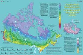 Tips To Successfully Grow Lavender From Seed Plant Hardiness Zone Map Growing Lavender Plant Hardiness Zone