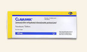Clavamox Is A Prescription Broad Spectrum Antibiotic For Cats And Dogs That Treats A Variety Of Infections Caused By Periodontal Disease Pet Meds Periodontitis