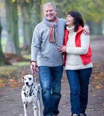 Looking for positive reinforcement puppy training? Dog Training Classes Group And Single Dairydell Canine