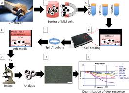 Protocol Overall Description A During A Bone Marrow Biopsy One Extra Download Scientific Diagram
