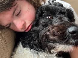 Fundraiser by Johanna Mabry : Help Eliana's family get a trained service  dog!