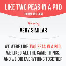 O Idioma Como Duas Ervilhas Em Uma Vagem Significa Muito Parecido Especialmente Em Apelo Dicas De Ingles English Vocabulary Words English Idioms English Phrases