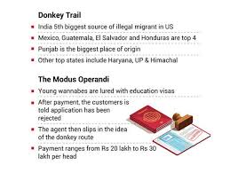 If no one hires them, they will stop coming. The Curious Case Of Donkey And Donkers On The Great Indian Illegal Immigration Trail The Economic Times