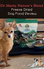 Dr Marty Nature S Blend Freeze Dried Food Review Little Dog Tips Freeze Dried Dog Food Dog Food Reviews Freeze Drying Food