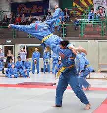 The vovinam viet vo dao challenge/ le défi vovinam viet vo dao. Deutsche Vovinam Meisterschaften Langenhagen Extra Verlag De