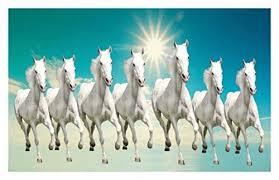Hk Prints Horse Sticker 12x18 Inch Multicolour Horse Wallpaper White Horse Painting Horse Painting