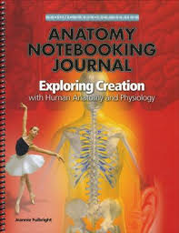 Notebooking Journal For Human Anatomy And Physiology Human Anatomy Physiology Anatomy Physiology Human Anatomy
