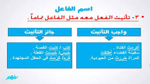 نائب الفاعل نحو اللغة العربية الصف الأول الإعدادي الترم الأول المنهج المصري نفهم Youtube