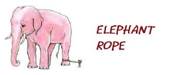 The Elephant Rope Belief Story Don T Limit Yourself To A Belief That You Can T Please bookmark this domain and unblock on us adblock!!! the elephant rope belief story don t