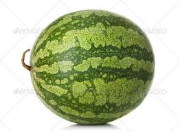 Watermelon Watermelon Photography Websites Inspiration Background For Photography