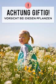 Giftige Gartenpflanzen Fur Kinder Einheimische Und Co Familie De Giftige Pflanzen Giftpflanzen Pflanzen