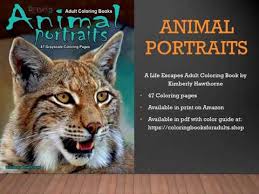 Download Animal Portraits Adult Coloring Book Flip Thru Youtube