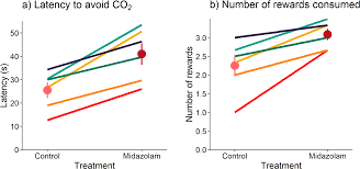 Credit cards for gas and groceries are a great way to get more cash back in. Variation In The Onset Of Co2 Induced Anxiety In Female Sprague Dawley Rats Scientific Reports