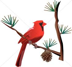 Red Cardinal On Branch Wildlife Clipart