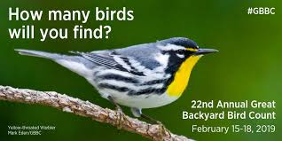 The gbbc is led by cornell lab of ornithology and the national audubon society, with bird. Audubon Society A Twitter The 2019 Great Backyard Bird Count Runs From February 15 18 It S An Easy Way To Help The Birds You See Everyday Learn More And Sign Up Today Https T Co Fzzvtf1kcn