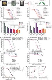 Honeybee venom and melittin suppress growth factor receptor activation in  HER2-enriched and triple-negative breast cancer