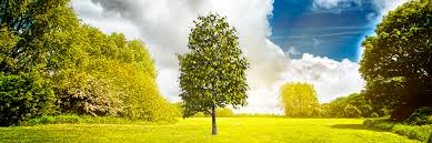 Obituary of Paul F. Isaman