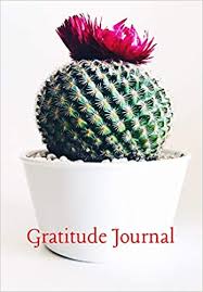 My cactus died from being in the cold too long outside. Gratitude Journal Beautiful Cactus Little Grateful Moments In Life For The Busy Designer To Stop And Reflect Studios Krisanto 9781706669296 Amazon Com Books