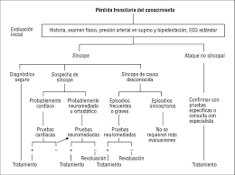 La sincope è una perdita improvvisa e temporanea di coscienza caratterizzata da insorgenza rapida, breve la causa della sincope è una transitoria ipoperfusione cerebrale dovuta a un calo pressorio. Algoritmo Propuesto Por El Grupo De Trabajo Sobre Sincope Como Download Scientific Diagram