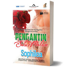 Tonton online drama sayangku kapten mukhriz episod 23. Drama Pengantin 1 Malam Tv3 Preview Sinopsis Senarai Pelakon
