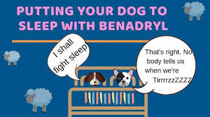 Well, the answer here pretty much depends on how big your dog is since the recommended dosage is 1 mg of benadryl per pound. Pin On Your Dog S Health Matters