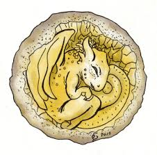 Lets draw this baby dragon together. Draw Your Inner Spiritual Dragon Egg By Nocturius Fiverr