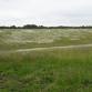 Habitat enhancements at Moverons Farm event image