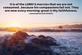 Lamentations 3:22-23 (KJV) — Today's Verse for Saturday, January 7 ...