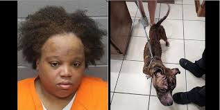 Atlantic City woman convicted of animal cruelty